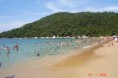 /album/fotogaleria/laranjeiras-3-jpg1/